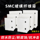 جعبه پلاستیکی تقویت شده با شیشه SMC IP65 هوی دیتی